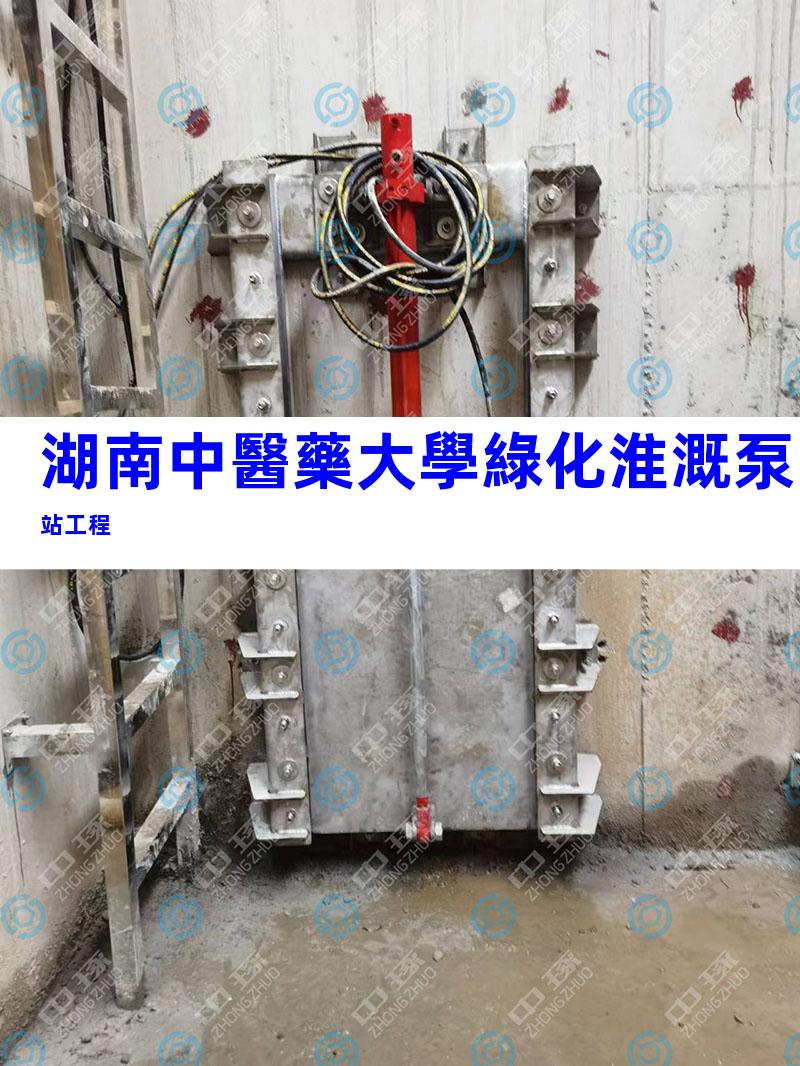 湖南中醫藥大學綠化淮溉泵站工程