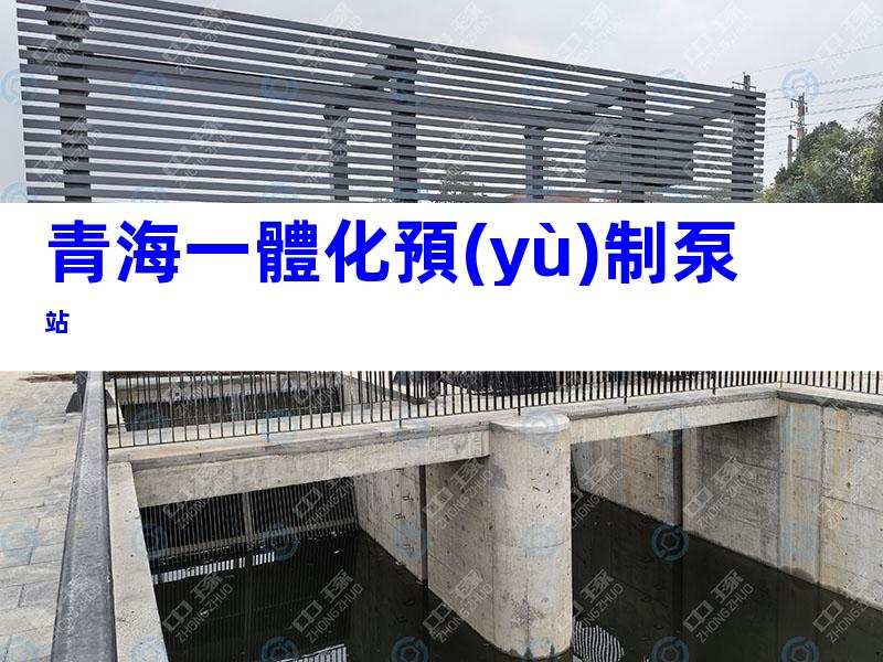 青海一體化預(yù)制泵站