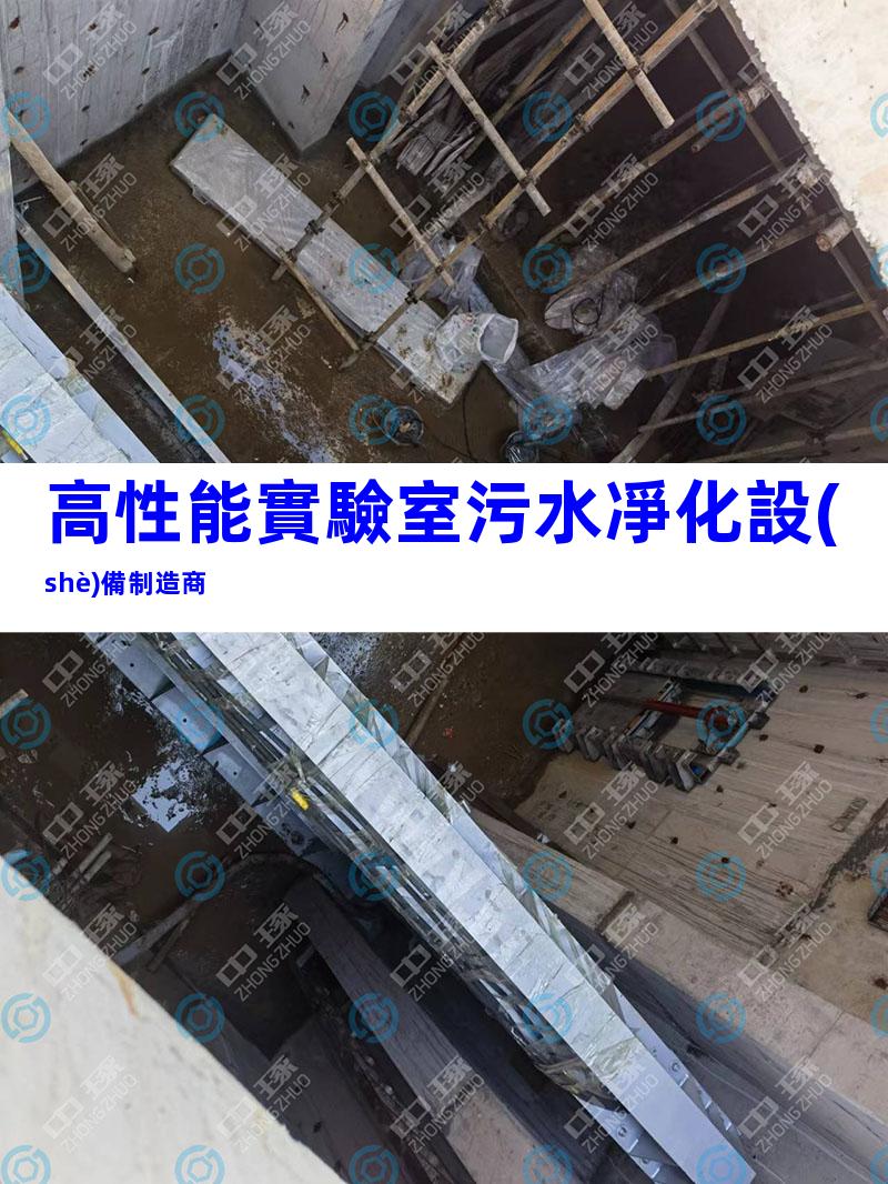 高性能實驗室污水凈化設(shè)備制造商
